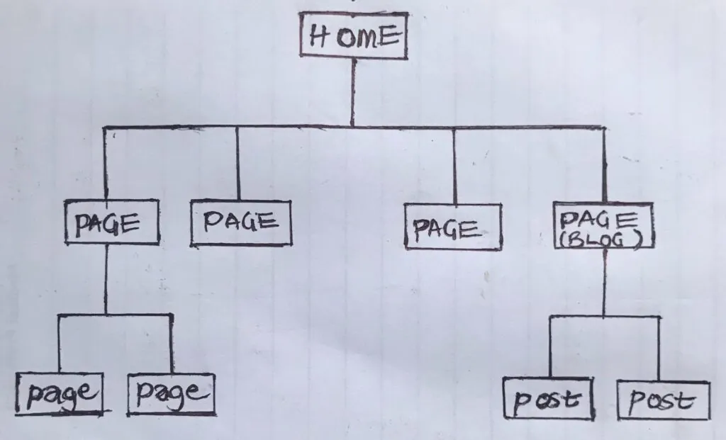 Hand-drawn site structure: the homepage links to pages and a blog page, which links to posts