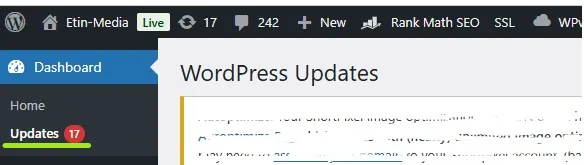 WordPress dashboard sidebar with Updates highlighted and 17 updates pending