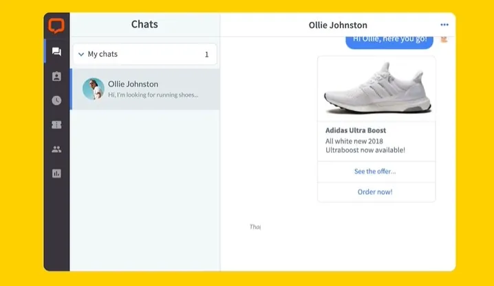 A screenshot of a sample chat on LiveChat